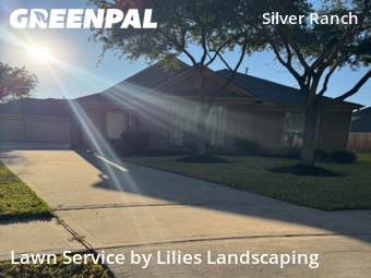 Lawn Work in Richmond, 77407, Grass Services by Lilies Landscaping, work completed in Nov , 2025