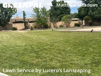 Grass Cut nearby Albuquerque, NM, 