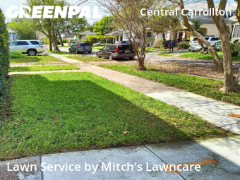 Grass Cut nearby New Orleans, LA, 