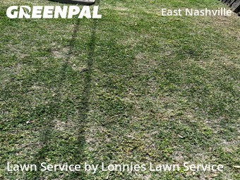 Lawn Mow nearby Nashville, TN, 