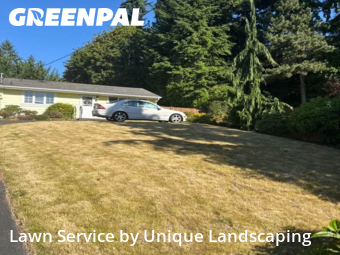 Property Maintenance in Edmonds, 98026, Yard Grooming by Quality Landscaping, work completed in Nov , 2025