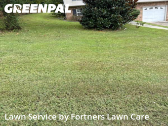 Yard Mowing nearby Fultondale, AL, 