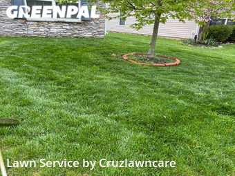 Yard Cutting nearby Noblesville, IN, 