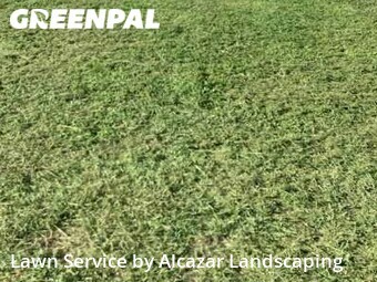 Grass Cut nearby Grand Prairie, TX, 