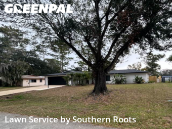 Lawn Cut nearby Palm Coast, FL, 