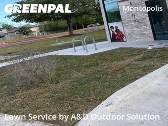 Lawn mowed in Austin, 78741