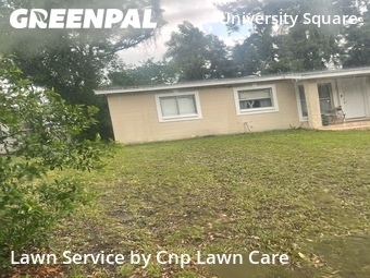 Lawn Maintenance nearby Tampa, FL, 