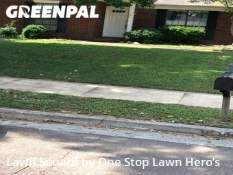 Grass Cut nearby Memphis, TN, 