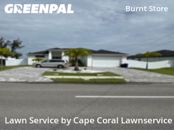 Grass Cutting nearby Cape Coral, FL, 