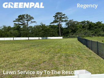 Lawn Mowing Service nearby Jacksonville, FL, 