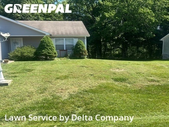 Grass Cut nearby Bowling Green, KY, 
