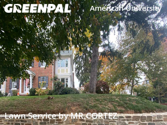 Lawn Cut nearby Washington, MD, 