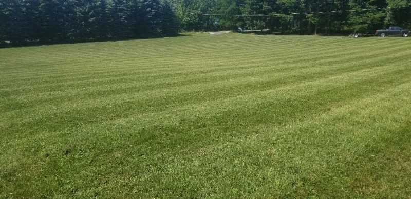 affordable-grass-cutting-businesses-in-Syracuse-NY