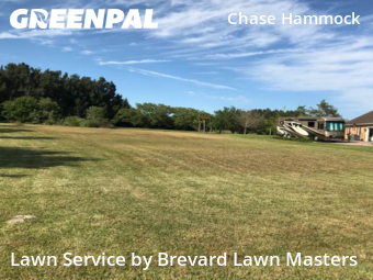 Lawn mowed in Merritt Island, 32953