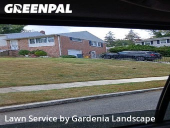 Grass Cut nearby Springfield Township, PA, 