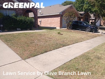 Lawn Carein Saginaw,76131,Grass Cutting by Olive Branch Lawn, work completed in Dec , 2025