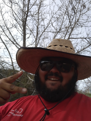 Local Lawn care service near me in Spanish Fork, UT, 84660