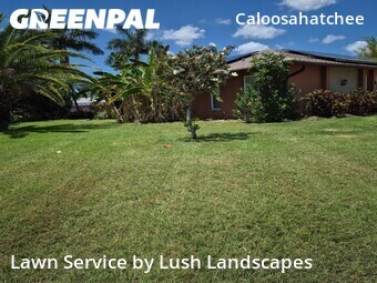 Lawn Mow nearby Cape Coral, FL, 
