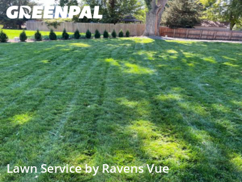 Lawn Mow nearby Longmont, CO, 