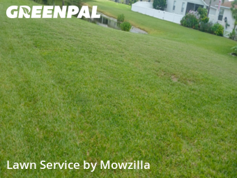 Lawn Cut nearby Riverview, FL, 