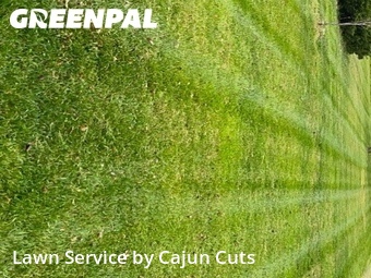 Lawn Mow nearby Murfreesboro, TN, 