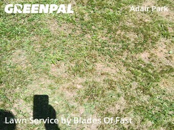 Lawn Cutting nearby Atlanta, GA, 
