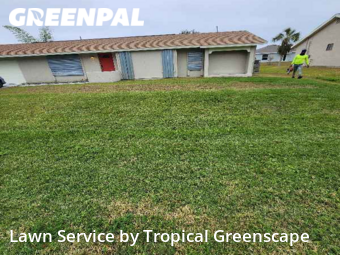 Grass Cut nearby Port Charlotte, FL, 