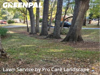 Lawn Mow nearby Mocksville, NC, 