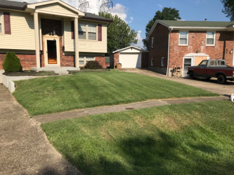 New Look Lawn Care L Lawn Care Services in Jeffersonville, IN