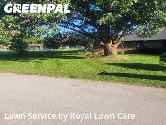 Grass Cut nearby Springfield, MO, 