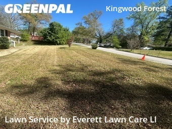 Lawn Care nearby Raleigh, NC, 