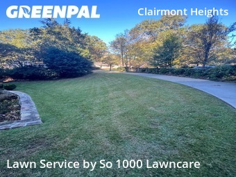 Grass Cut nearby Decatur, GA, 