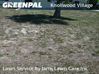 Lawn Mowing Service nearby Holiday, FL, 