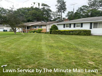 Grass Cutting nearby Norton Shores, MI, 