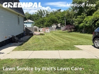 Grass Cut nearby Grand Rapids, MI, 