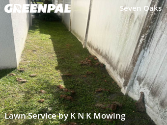 Grass Cuttingin Wesley Chapel,33544,Lawn Cutting by K N K Mowing, work completed in Nov , 2025