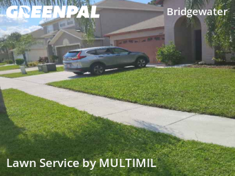 Yard Cutting nearby Wesley Chapel, FL, 