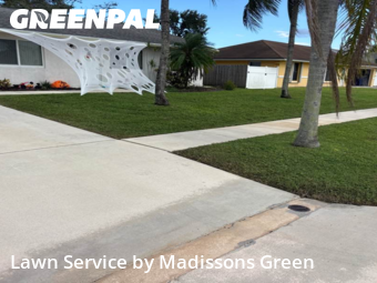 Garden Trimming in Royal Palm Beach, 33411, Grass Care by Madissons Green, work completed in Nov , 2025