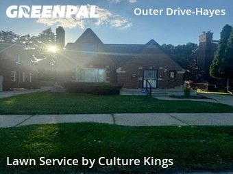 Lawn mowed in Detroit, 48224