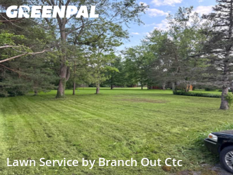 Lawn Mowing nearby Hamburg, NY, 
