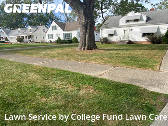 Grass Cut nearby Parma Heights, OH, 