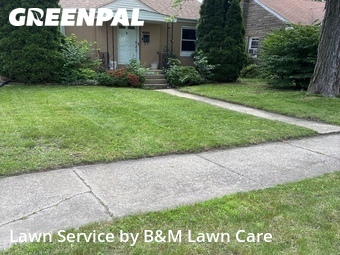 Lawn Mow nearby Hammond, IL, 