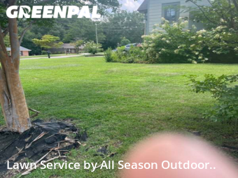 Lawn Mowing Service nearby Opelika, AL, 