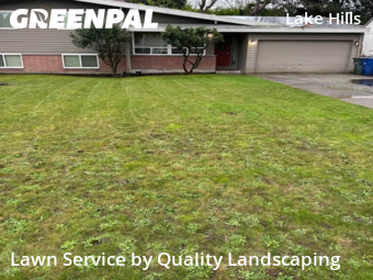 Lawn mowed in Bellevue, 98007