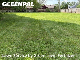 Lawn Care nearby Springfield, MO, 