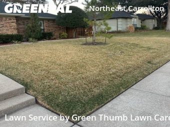 Lawn mowed in Carrollton, 75007