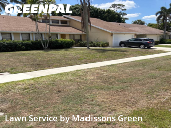 Garden Trimming in Wellington, 33414, Mowing Services by Madissons Green, work completed in Nov , 2025