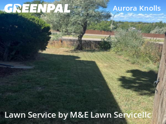 Lawn Cut nearby Aurora, CO, 