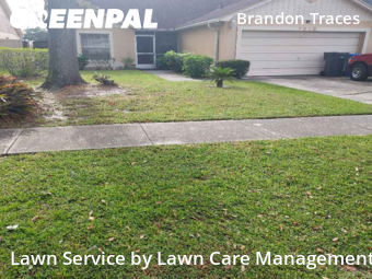 Yard Cutting nearby Brandon, FL, 