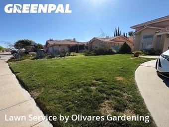Work completed by affordable-lawn-services-in-Palmdale-CA